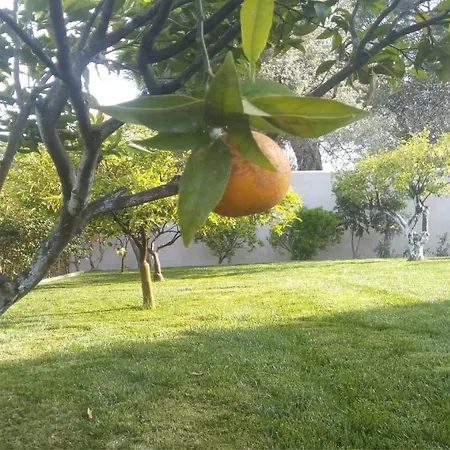 Anemomylos Luxus Suites-boutique & Pool דירה *