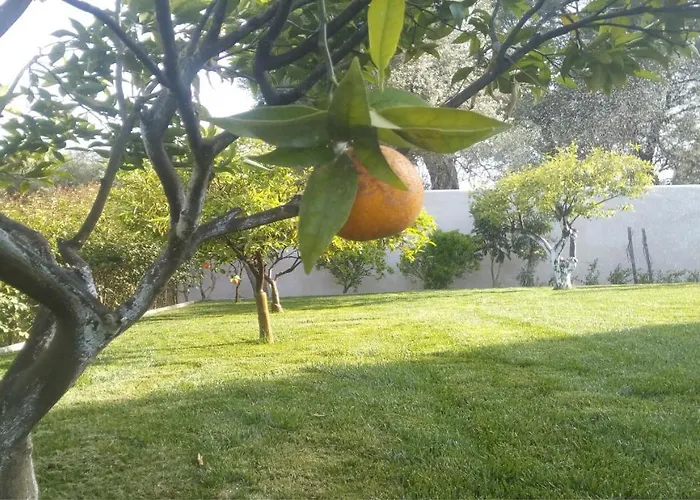 Anemomylos Luxus Suites-boutique & Pool Daire *